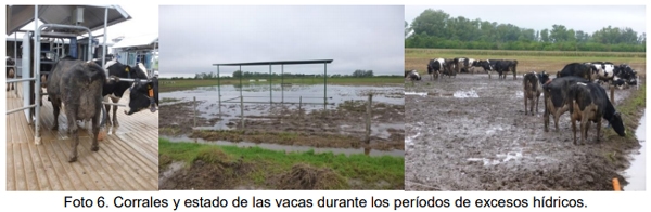 Evaluación bio-económica de un sistema lechero pastoril intensivo incorporando Tecnologías de Precisión, Ordeño Voluntario Automatizado (VMS® ) y las TIC - Image 35