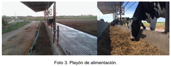 Evaluación bio-económica de un sistema lechero pastoril intensivo incorporando Tecnologías de Precisión, Ordeño Voluntario Automatizado (VMS® ) y las TIC - Image 10