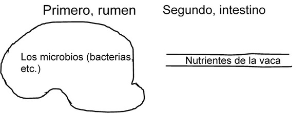 El uso de ingredientes de calidad extruidos en seco con alta fricción en las formulaciones lecheras durante las cambiantes condiciones de los mercados en América Latina - Image 1