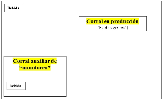 Evaluación de la respuesta productiva y económica de un engorde a corral “comercial” - Image 1