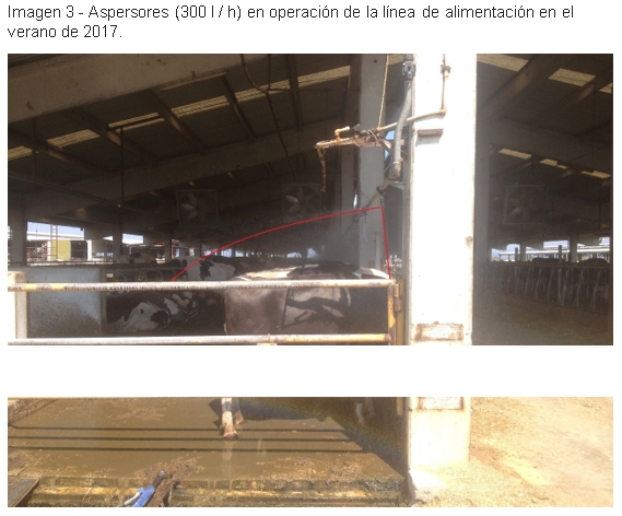 Enfriamiento de vacas Ozlem dairy farm, Turquía - Image 7