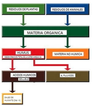 Comparación del rendimiento y engorde de la Sal de Humato vs. un Antibiótico Promotor de Crecimiento. (Bacitracina) en Pollos de Engorde - Image 1
