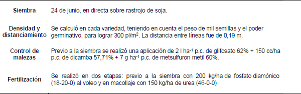 Producción invernal de reservas forrajeras: cebada, trigo, avena y colza - Image 1