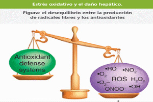 Silimarina: Una arma eficaz contra los desafíos infecciosos y metabólicos - Image 5