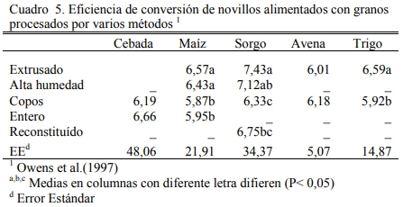 Alimentación en engorde - Image 6