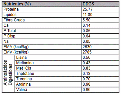 Efecto de niveles crecientes de DDGS de maíz en dietas para pollos parrilleros - Image 1