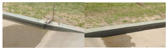 Bioseguridad en granjas: Como desinfectar un vehículo eficientemente - Image 2