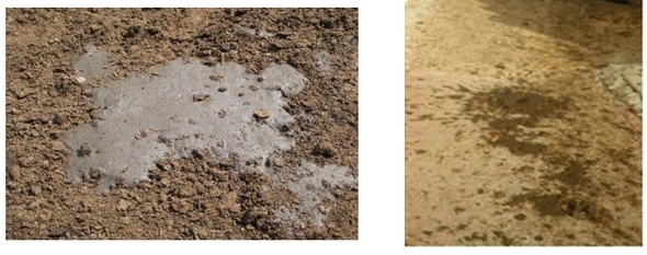 El estrés en los establos lecheros en la costa del Perú - Image 1