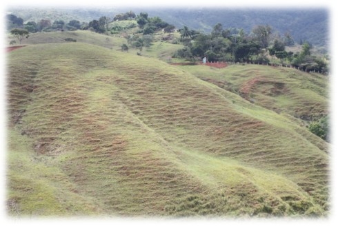 Las cuencas hidrográficas de la América Latina y sus problemáticas a luz de las situaciones actuales y sus graves impactos a futuro, implica la conformación de grupos de análisis ante los efectos del cambio climático que se avecina - Image 1