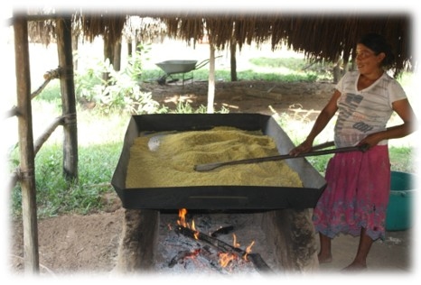 Las cuencas hidrográficas de la América Latina y sus problemáticas a luz de las situaciones actuales y sus graves impactos a futuro, implica la conformación de grupos de análisis ante los efectos del cambio climático que se avecina - Image 24