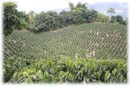 Las cuencas hidrográficas de la América Latina y sus problemáticas a luz de las situaciones actuales y sus graves impactos a futuro, implica la conformación de grupos de análisis ante los efectos del cambio climático que se avecina - Image 26