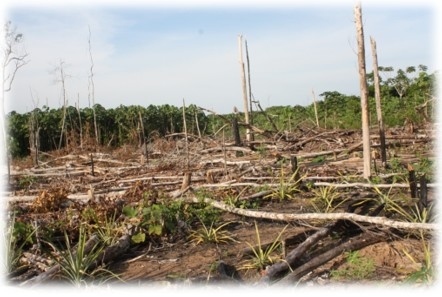 Las cuencas hidrográficas de la América Latina y sus problemáticas a luz de las situaciones actuales y sus graves impactos a futuro, implica la conformación de grupos de análisis ante los efectos del cambio climático que se avecina - Image 20