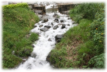 Las cuencas hidrográficas de la América Latina y sus problemáticas a luz de las situaciones actuales y sus graves impactos a futuro, implica la conformación de grupos de análisis ante los efectos del cambio climático que se avecina - Image 19