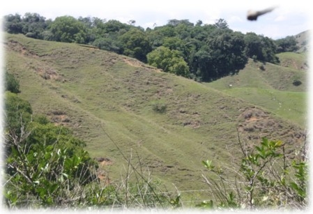 Las cuencas hidrográficas de la América Latina y sus problemáticas a luz de las situaciones actuales y sus graves impactos a futuro, implica la conformación de grupos de análisis ante los efectos del cambio climático que se avecina - Image 4