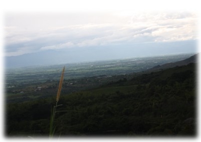 Las cuencas hidrográficas de la América Latina y sus problemáticas a luz de las situaciones actuales y sus graves impactos a futuro, implica la conformación de grupos de análisis ante los efectos del cambio climático que se avecina - Image 14
