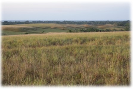 Las cuencas hidrográficas de la América Latina y sus problemáticas a luz de las situaciones actuales y sus graves impactos a futuro, implica la conformación de grupos de análisis ante los efectos del cambio climático que se avecina - Image 18