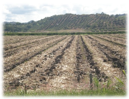 Las cuencas hidrográficas de la América Latina y sus problemáticas a luz de las situaciones actuales y sus graves impactos a futuro, implica la conformación de grupos de análisis ante los efectos del cambio climático que se avecina - Image 10