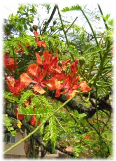 Las cuencas hidrográficas de la América Latina y sus problemáticas a luz de las situaciones actuales y sus graves impactos a futuro, implica la conformación de grupos de análisis ante los efectos del cambio climático que se avecina - Image 13