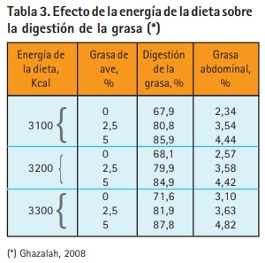 ¿Cómo podemos mejorar la pigmentación de los pollos en verano? - Image 3