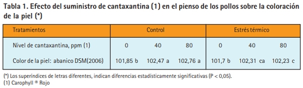 ¿Cómo podemos mejorar la pigmentación de los pollos en verano? - Image 1
