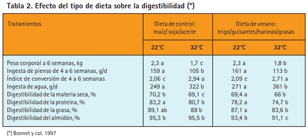 ¿Cómo podemos mejorar la pigmentación de los pollos en verano? - Image 2