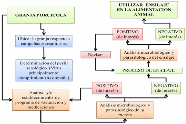 Ensilado de cerdaza, una oportunidad para el manejo de la bioseguridad y el microbismo en granjas porcícolas - Image 7