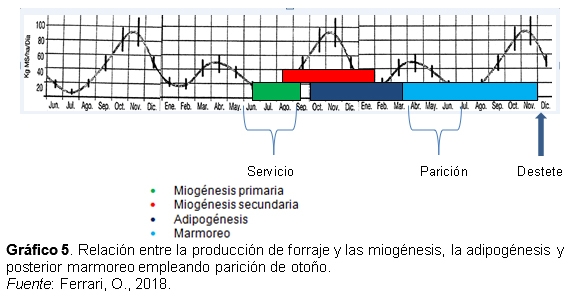Un cambio de paradigma: Programación fetal y variación de la época de parición - Image 13