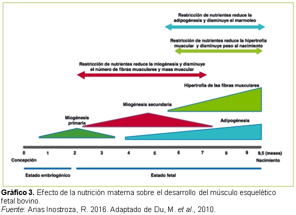 Un cambio de paradigma: Programación fetal y variación de la época de parición - Image 7
