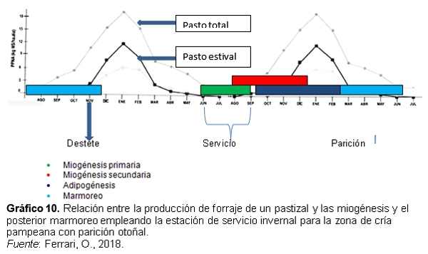 Un cambio de paradigma: Programación fetal y variación de la época de parición - Image 21