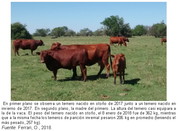 Un cambio de paradigma: Programación fetal y variación de la época de parición - Image 10