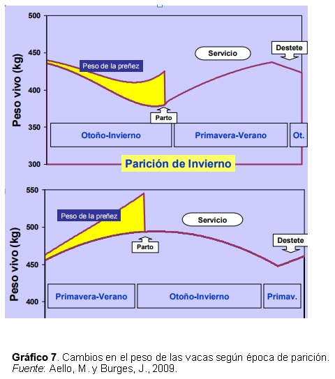 Un cambio de paradigma: Programación fetal y variación de la época de parición - Image 16