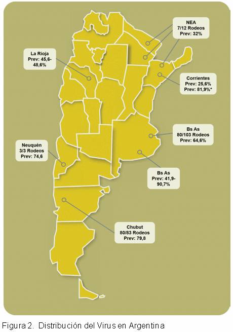 Diarrea Viral Bovina: Estrategias de control. Parte I - Image 3
