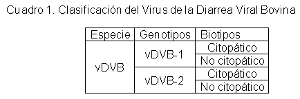 Diarrea Viral Bovina: Estrategias de control. Parte I - Image 1