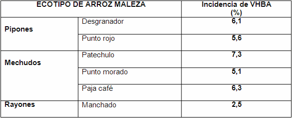 Distribucion de poblaciones de arroz maleza en fincas arroceras del Norte de Santander, Colombia - Image 18
