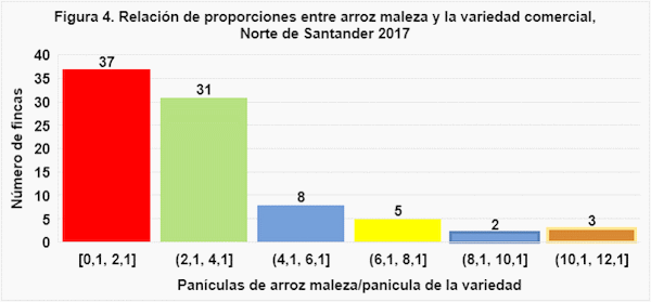 Distribucion de poblaciones de arroz maleza en fincas arroceras del Norte de Santander, Colombia - Image 7