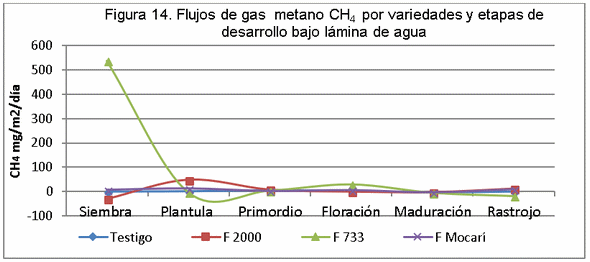 El manejo del cultivo del arroz y las emisiones de gases de fecto de invernadero (GEI) - Image 17