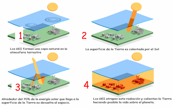El manejo del cultivo del arroz y las emisiones de gases de fecto de invernadero (GEI) - Image 1