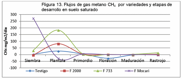 El manejo del cultivo del arroz y las emisiones de gases de fecto de invernadero (GEI) - Image 16