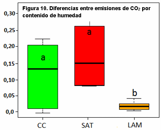 El manejo del cultivo del arroz y las emisiones de gases de fecto de invernadero (GEI) - Image 13