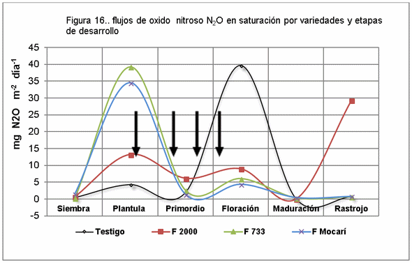El manejo del cultivo del arroz y las emisiones de gases de fecto de invernadero (GEI) - Image 20