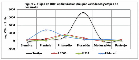 El manejo del cultivo del arroz y las emisiones de gases de fecto de invernadero (GEI) - Image 9