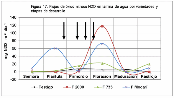 El manejo del cultivo del arroz y las emisiones de gases de fecto de invernadero (GEI) - Image 21