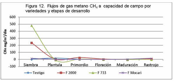 El manejo del cultivo del arroz y las emisiones de gases de fecto de invernadero (GEI) - Image 15