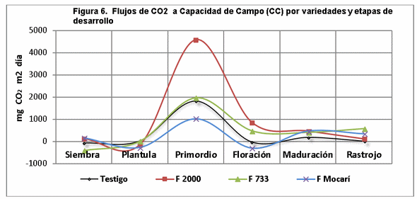 El manejo del cultivo del arroz y las emisiones de gases de fecto de invernadero (GEI) - Image 8