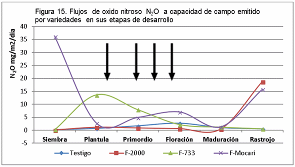 El manejo del cultivo del arroz y las emisiones de gases de fecto de invernadero (GEI) - Image 19