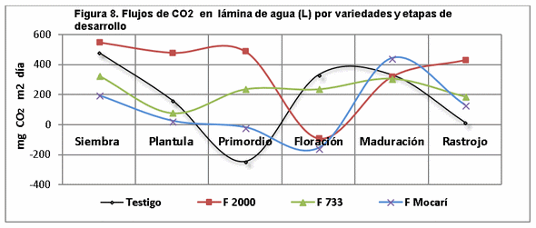 El manejo del cultivo del arroz y las emisiones de gases de fecto de invernadero (GEI) - Image 10