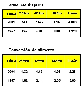El pollo hoy. Mitos y realidades - Image 2