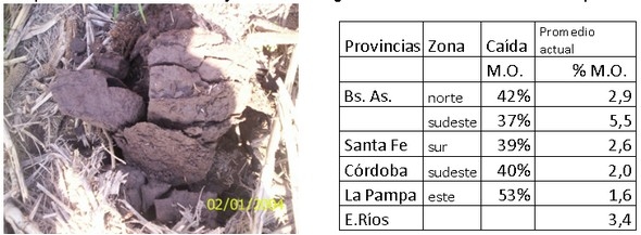 Encierre = ¿destrucción de los suelos? - Image 3