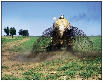 Encierre = ¿destrucción de los suelos? - Image 7