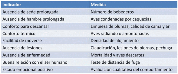Bienestar animal y su equilibrio com la productividad - Image 1
